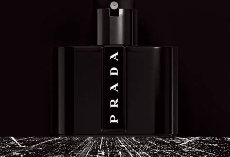 prada black longevity|prada black cologne.